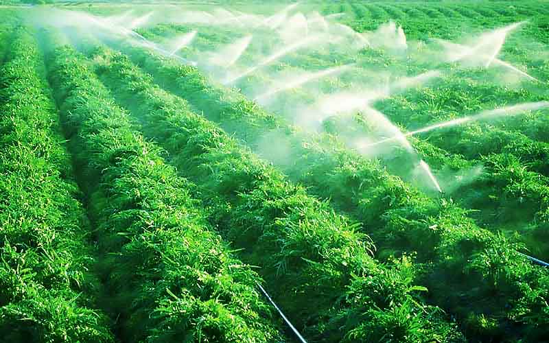 تاثیرات تجهیزات و نوع آبیاری بر روی محصولات و تولیدات کشاورزی