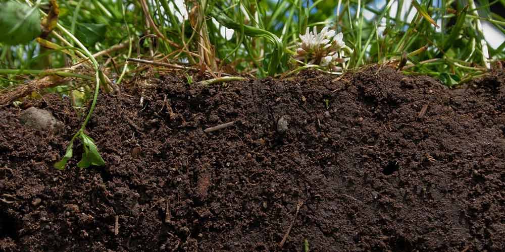 روش های درمان و تصحیح شوری خاک برای اصلاح خاک شور