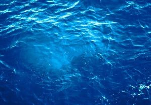 میزان شوری آب دریا