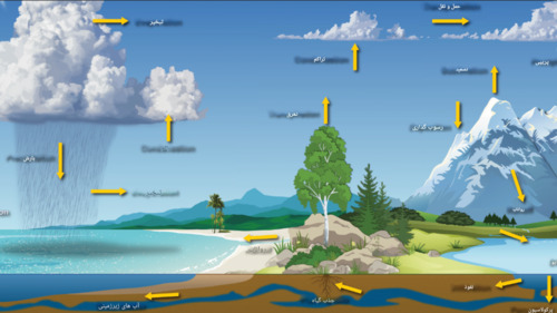 مراحل چرخه آب چیست؟