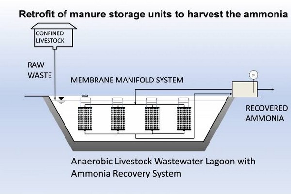 مراحل تصفیه فاضلاب دامداری و گاوداری