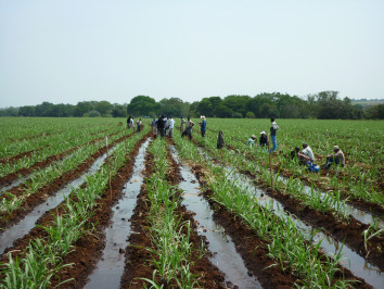 برای آبیاری هر هکتار زمین در روش های مختلف و محصولات مختلف چه میزان آب در شبانه روز نیاز است؟ 