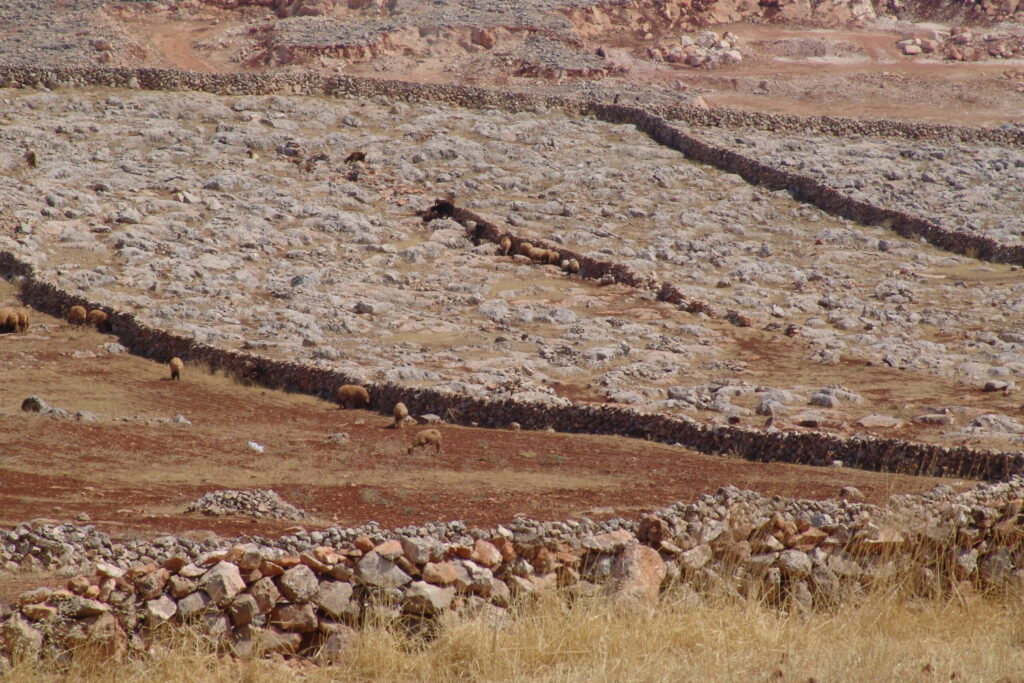 علت های خشکسالی اخیر ایران و راه کارهای علمی برای مقابله با آن