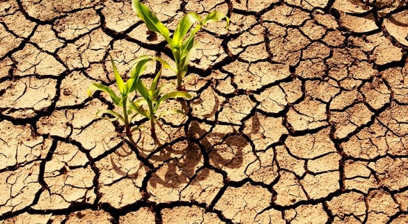 علت های خشکسالی اخیر ایران و راه کارهای علمی برای مقابله با آن